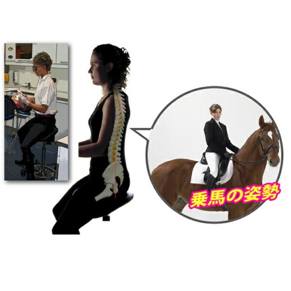 楽天市場】Salliチェアー[Salli Sway] ミドルタイプ (ブルー) ※開封後