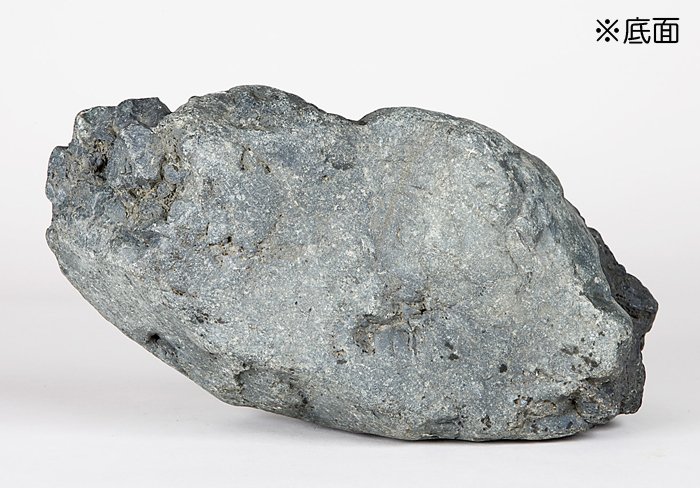 千軒石 | 盆栽、盆栽書籍、盆栽鉢の通販│近代出版