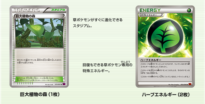 一挙公開！「バトル強化セット 草/闘」 | ポケモンカードゲーム公式