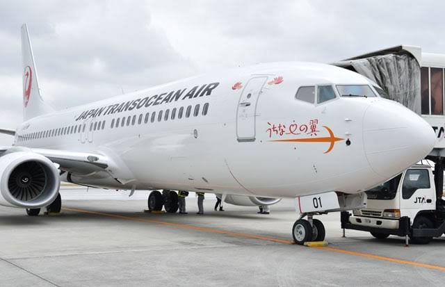 Japan Transocean Air Boeing 737-800 - Features - Infinite Flight