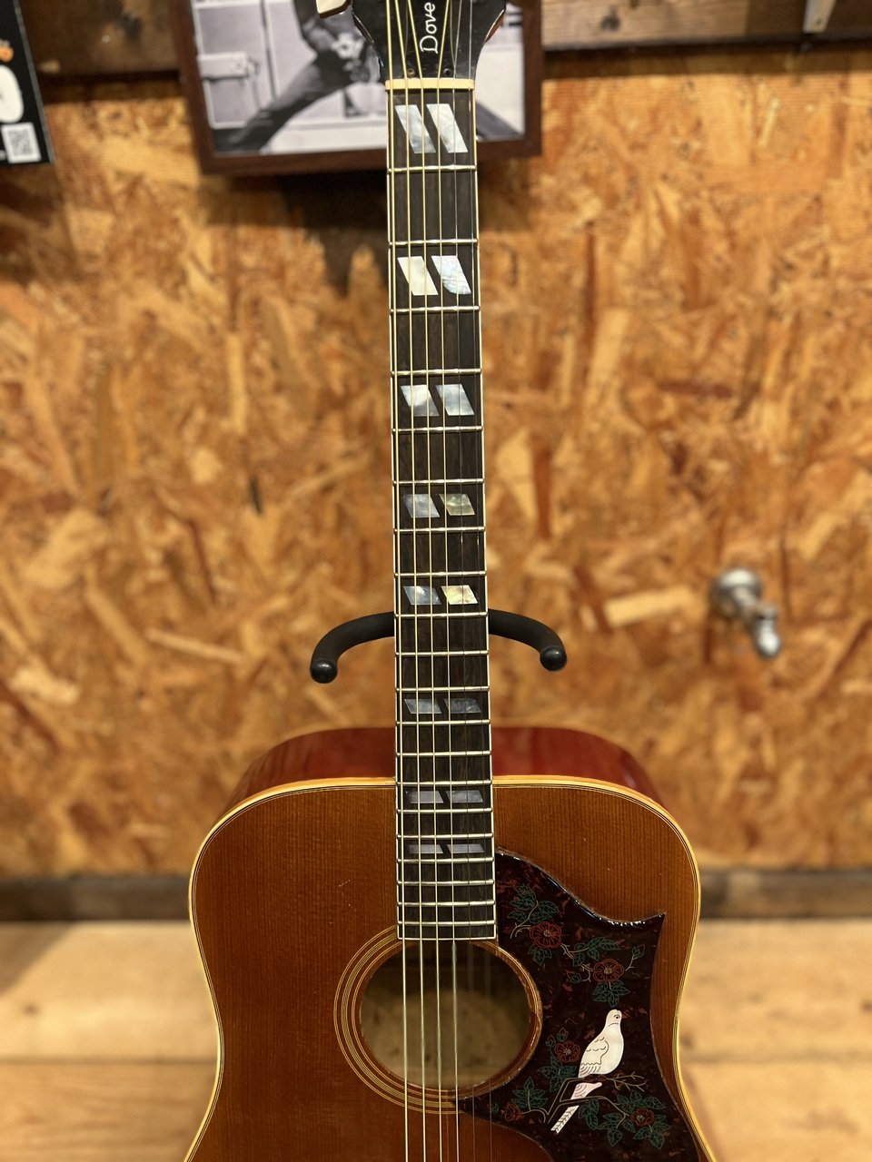 Gibson GIBSON DOVE 【early 70'S】（ビンテージ）【楽器検索デジマート】