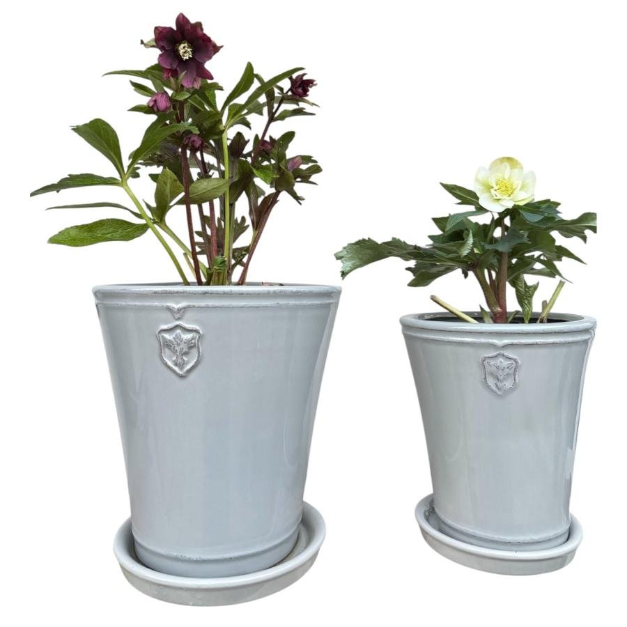 NEW! 陶器鉢 植木鉢 【グレー/Mサイズ 5号】 Rose de Noel Parfaite