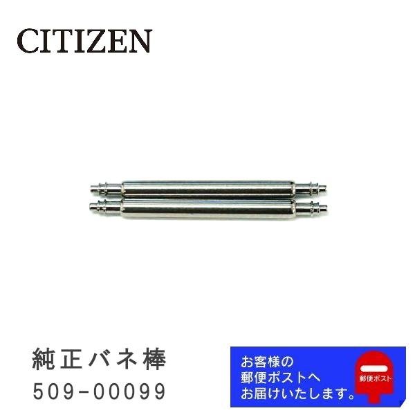 CITIZEN（シチズン） 純正 バネ棒 1.6mm / 21mm 腕時計ベルト 取り付け