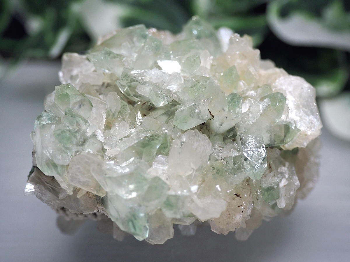 非常に強い浄化パワーを持つ美しいグリーンアポフィライト！ | 天然石