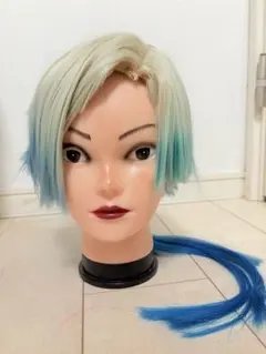 2026年最新】ミヒャエルカイザー ウィッグの人気アイテム - メルカリ