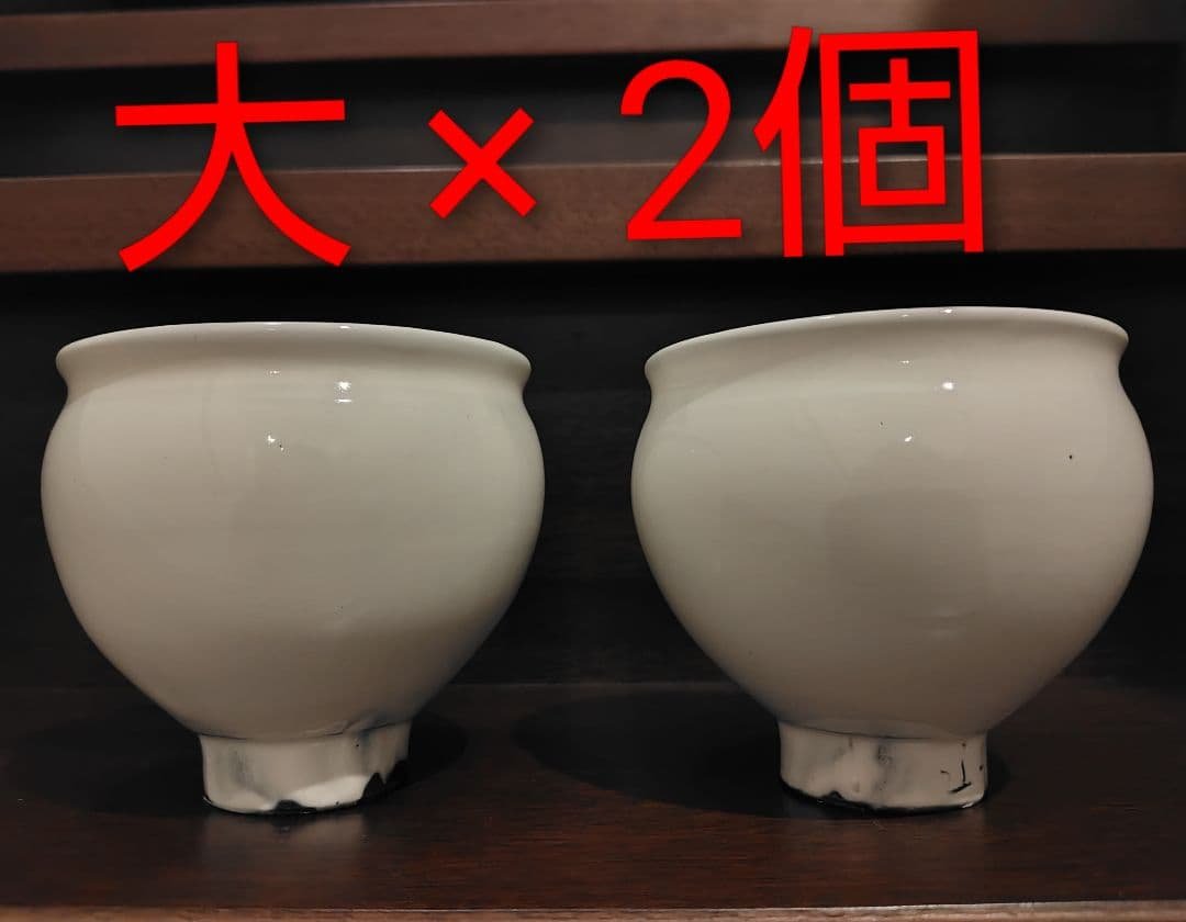 お値引再出品　　鈴木環　ピジョン　大　×　2個セット 2026年最新】鈴木環 ピジョンの人気アイテム - メルカリ