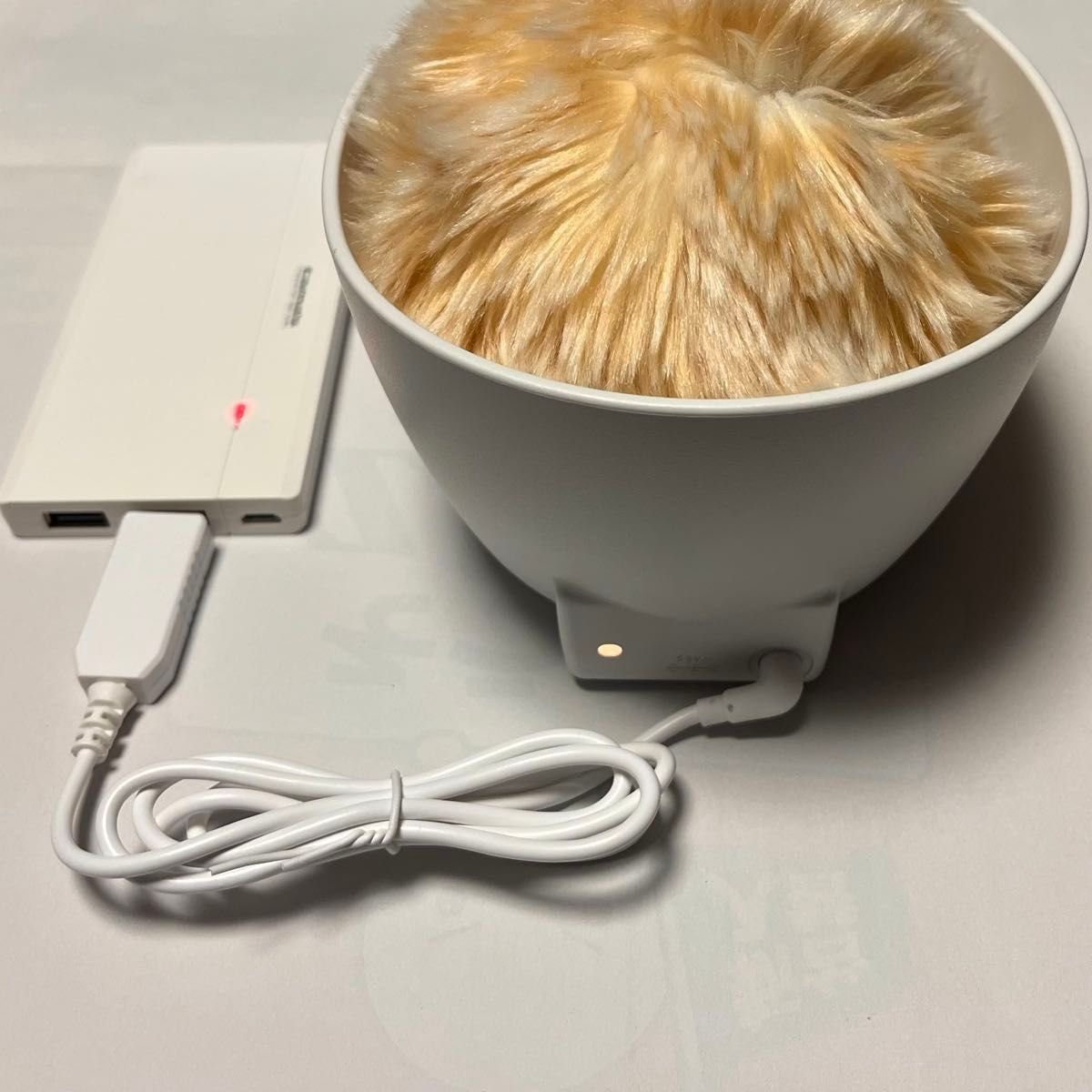 Moflin充電ケーブル USBでモフリン充電｜Yahoo!フリマ（旧PayPayフリマ）