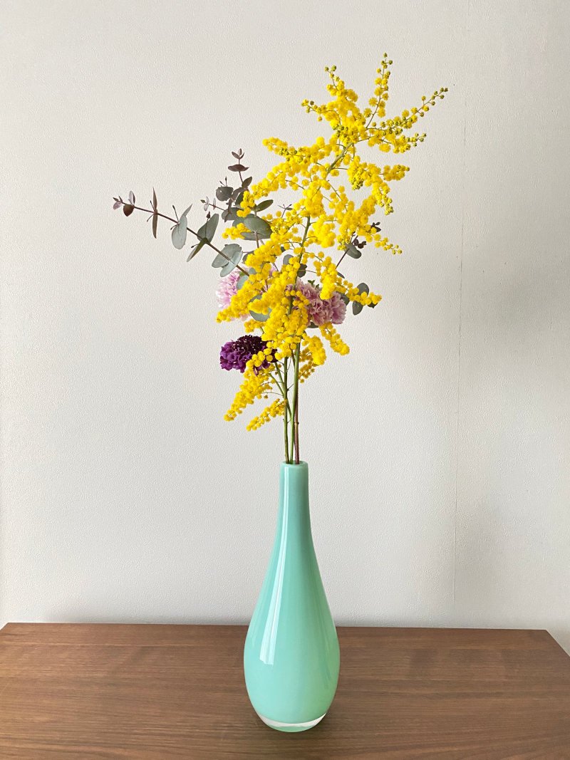 これが正しいミモザアカシア - 気が向いたら花活け