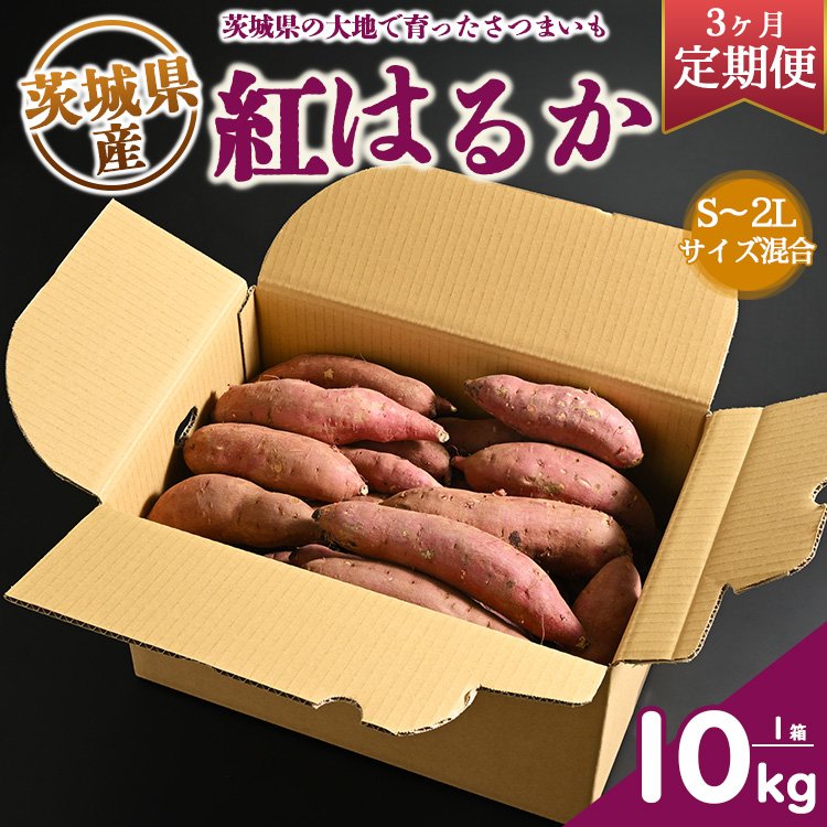 定期便3ヶ月】生芋 10kg S〜2Lサイズ混合 1箱 いも長 | さつまいも